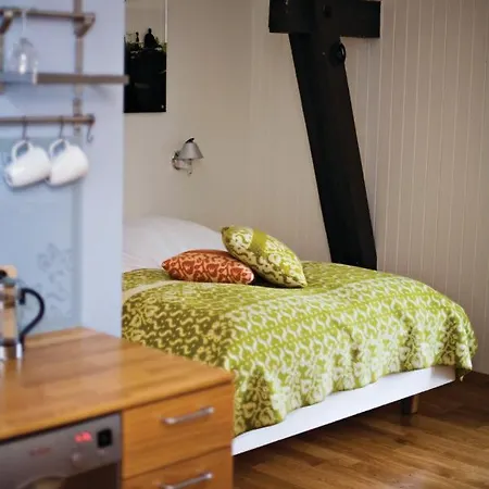 Penzion Vertshuset Røros