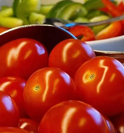 Vertshuset بيت ضيافة روروس