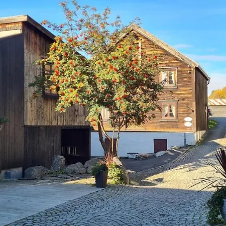 Vertshuset 3* Røros