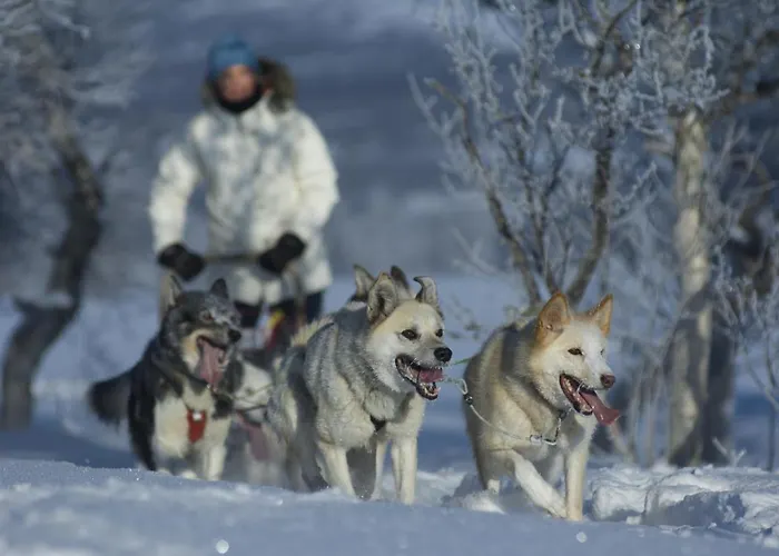 Gjestgiverier Vertshuset