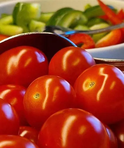 Vertshuset Gjestgiverier Røros