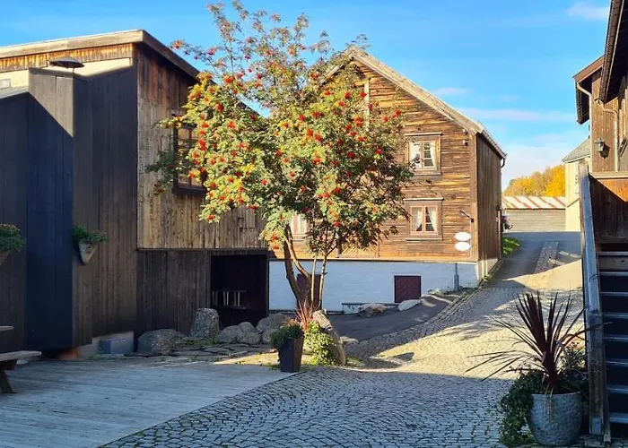 Vertshuset 4* Røros