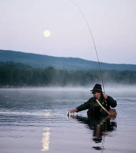Vertshuset 4* Røros